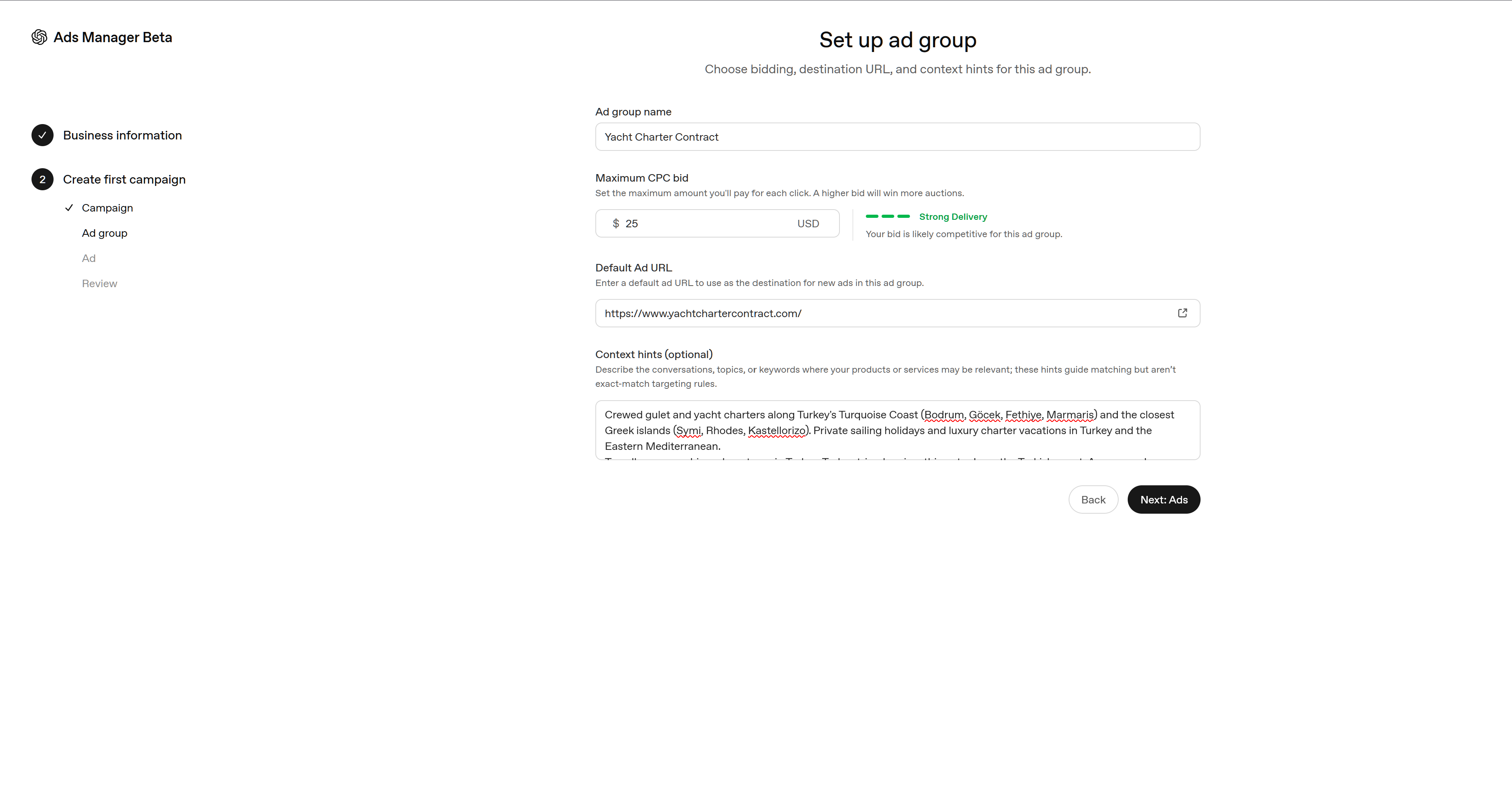 Set up ad group: maximum CPC bid, default ad URL and context hints